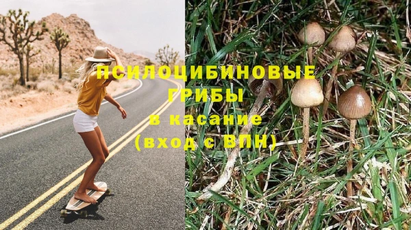 стафф Алзамай