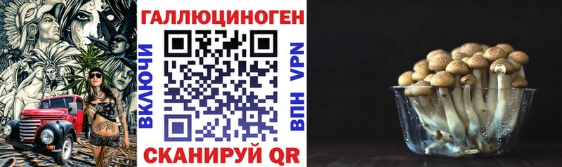 Галлюциногенные грибы мицелий  Калязин 