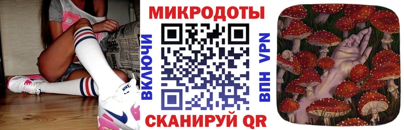 Галлюциногенные грибы Psilocybine cubensis Калязин